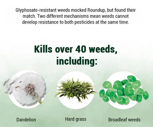 Dual-Action Wid Killer - Max Power Herbicide (Pack of 1)